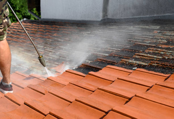 Deck Cleaning Services in New Boston, TX