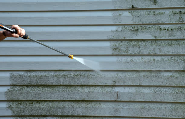 Best Pressure Washing Company Near Me  in New Boston, TX