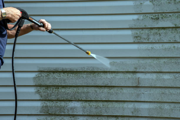 Best Deck Cleaning Services  in New Boston, TX